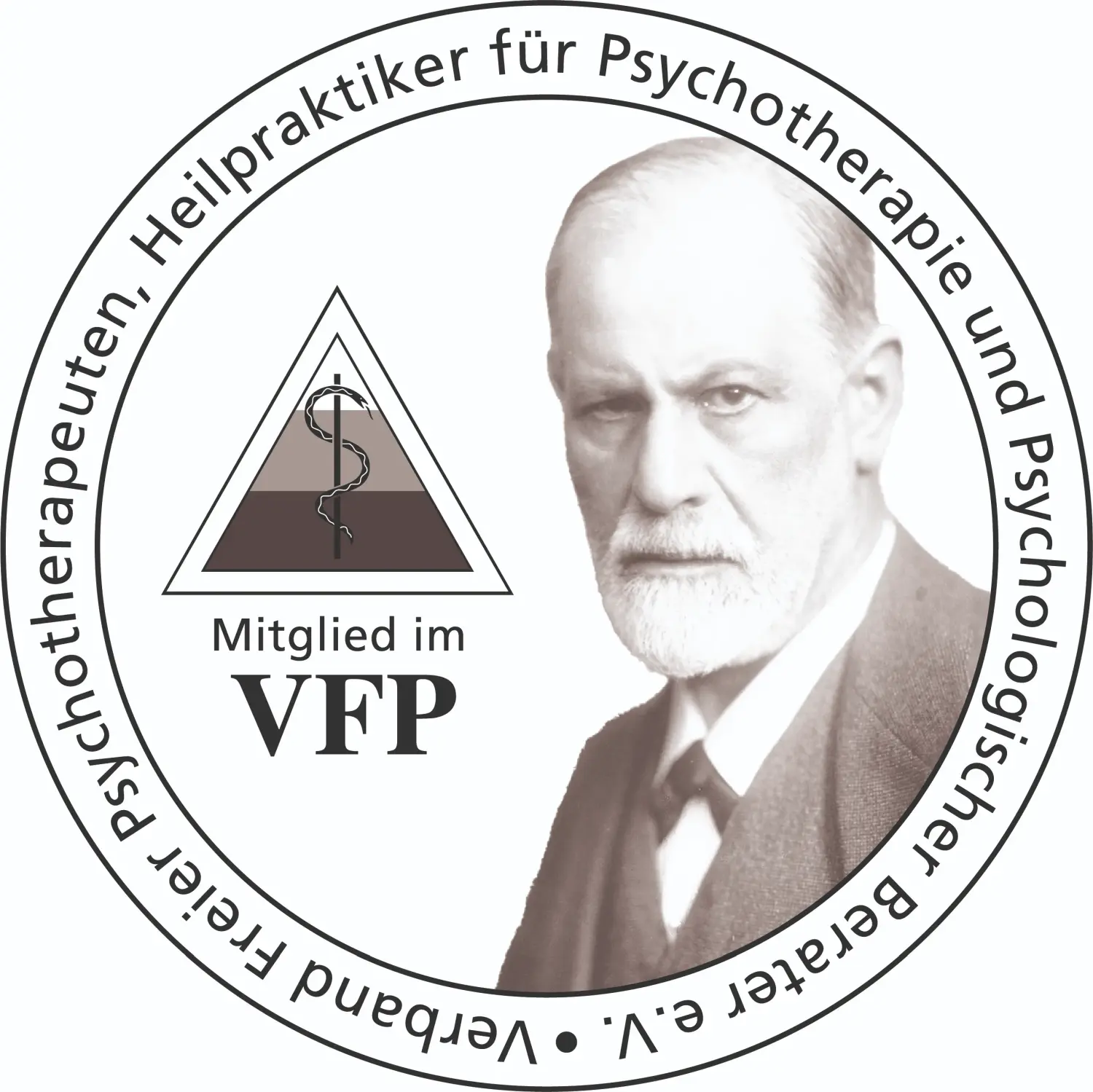 vfp Siegel freud logo